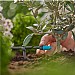 GARDENA Micro-Drip-System Adjustable Endline Drip Head 0-15L per hour