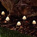 Forest Solar Mushroom Lights (Set Of 12)