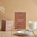 St Eval Sandalwood and Cedar, Lamorna Reed Diffuser (150ml)