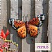 Metal Orange Butterfly Wall Art - Medium