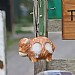 Wildlife World Hairie the Cow Ceramic Wool Dispenser