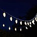 Smart Garden MultiPower Pine Cone String Lights 30 LEDs