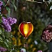Smart Garden Sunset Flaming Balloon Solar Light