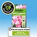 Levington Essentials Peat Free Multi Purpose Compost (40L)