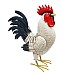 Metal White Cockerel - Large