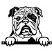 Metal Bulldog Peeking Dog Silhouette