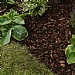 Westland Premium Pine Bark Nuggets (50L)