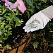 Westland Boost Slow Release Plant Food (750g)