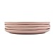 Jamie Oliver Big Love Stoneware Everything Plate - Set of 4 Pink (27cm)