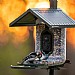 FeatherSnap Scout Wi-Fi Solar Powered Smart Bird Feeder