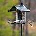 FeatherSnap Scout Wi-Fi Solar Powered Smart Bird Feeder