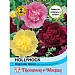 Thompson & Morgan Hollyhock Majorette Mixed