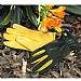 Gold Leaf Ladies Dry Touch Gloves