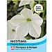Nicotiana Fragrant Cloud - 1000 Seeds