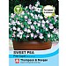 Thompson & Morgan Sweet Pea Pink Cupid