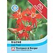 Thompson & Morgan Silene Jack Flash