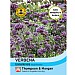 Thompson & Morgan Verbena Bonariensis