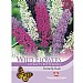 Thompson & Morgan Wild Flower Butterfly Bush