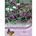 Thompson & Morgan Wild Flower Snakes Head Fritillaria