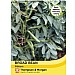 Thompson & Morgan Broad Bean Witkiem Seeds