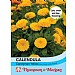 Thompson & Morgan Calendula Candyman Yellow