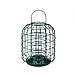 Suet Feeder & Guardian