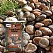Premium Large Beach Cobbles Large Bag