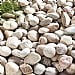 Premium Large Beach Cobbles Large Bag