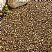 Kelkay Autumn Gold Flint Bulk Bag