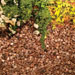 Kelkay Classic Pink Chippings Bulk Bag