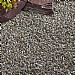 Kelkay Cornish Silver Chippings Bulk Bag