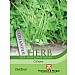 Thompson & Morgan Herb Coriander Calypso Seeds
