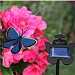 The Original Flutterby!