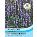 Thompson & Morgan Agastache Astello Indigo