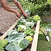 Zest Sleeper Raised Bed 1.8m x 0.45m