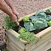 Zest Sleeper Raised Bed 1.8m x 0.45m