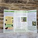 Wildlife World Attractor pack for Butterflies
