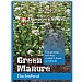 Thompson & Morgan Green Manure Buckwheat Seeds