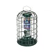 Squirrel Proof Seed Feeder