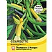 Thompson & Morgan Courgette Shooting Star
