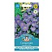 Mr Fothergills Campanula Carpatica Blue Seeds