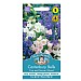 Mr Fothergills Canterbury Bells Cup & Saucer Mixed Seeds