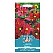 Mr Fothergills Cosmos Rubenza Seeds