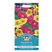 Mr Fothergills Nasturtium Summer Carousel Seeds