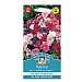 Mr Fothergills Petunia Mr F's Multiflora Mixed F1 Seeds