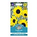 Mr Fothergills Sunflower Alchemy Seeds