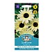 Mr Fothergills Sunflower Vanilla Ice Seeds