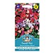 Mr Fothergills Sweet Pea Dwarf Explorer Mixed Seeds