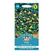 Mr Fothergills Viola Johnny Jump Up Seeds