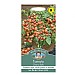 Tomato Cherry Falls Seeds